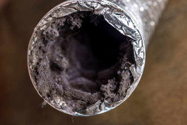 Best Affordable HVAC Duct Cleaning  in Ranchester, WY